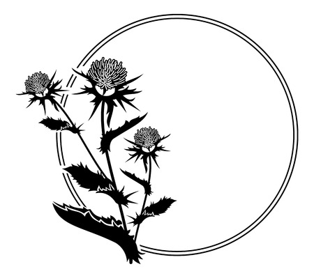Round frame with thistle silhouette. Vector clip art.のイラスト素材