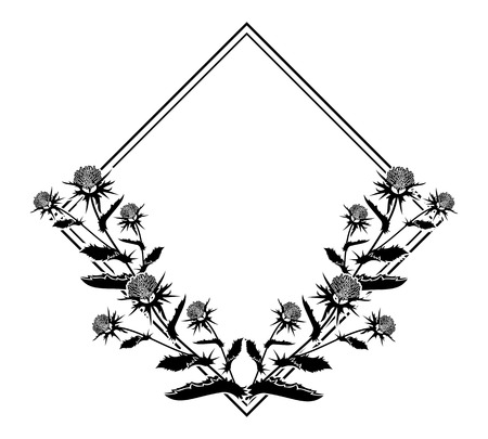 Square frame with thistle silhouette. Vector clip art.のイラスト素材