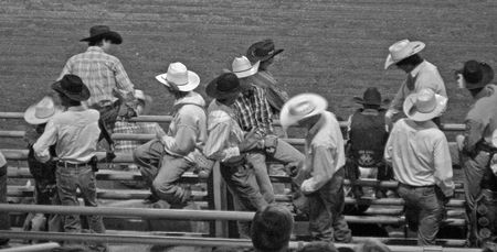 Northern Plains Wyoming Cody Rodeoの写真素材