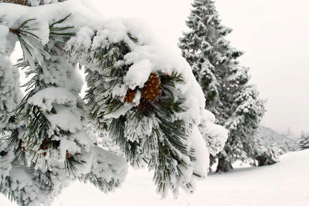 snowy road and river in the mountains during winterの写真素材
