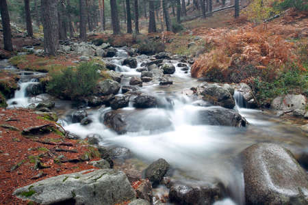 view of a frozen river in the sierra de Madridの写真素材
