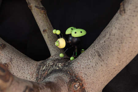 wood insect with antennae and wings perched on the trunk of a tree