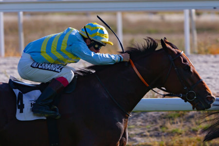 Madrid, Spain- October 18, 2020: Horse race at the La Zarzuela racecourse in Madridのeditorial素材