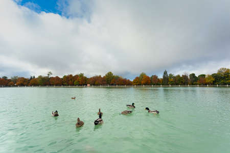 Autumn colors. Autumn atmosphere.の写真素材