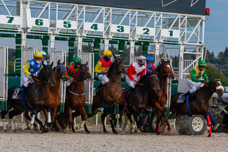 Madrid, Spain- December 27, 2020: Horse racing. Equine competition. Racing horsesのeditorial素材