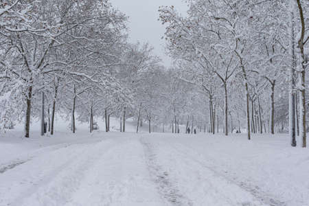 Streets and parks of Madrid covered with snow. Cold winter. Big snowfall in the cityの写真素材