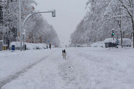 Streets and parks of Madrid covered with snow. Cold winter. Big snowfall in the cityの写真素材