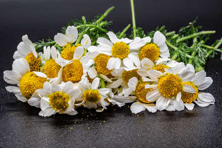 Bouquet of chamomile flowers on black stone backgroundの写真素材