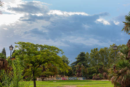 Pines and trees over blue stormy sky. Storm landscape.