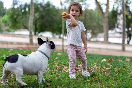 Little blonde girl playing with a Bulldog breed dog in the park in autumnの写真素材