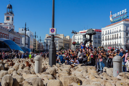 Madrid, Spain- October 24, 2021: Festival of transhumance in Madrid. Sheep and goats walk through the most emblematic streets of Madrid with their shepherds.のeditorial素材