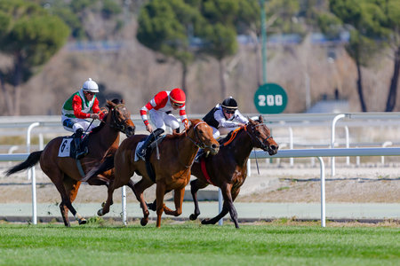 Madrid, Spain- March 6, 2022: Horse racing at the Hipodromo de la Zarzuela in Madrid. Jockeys on their horses during horse races.のeditorial素材