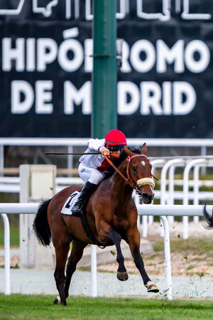 Madrid, Spain- March 6, 2022: Horse racing at the Hipodromo de la Zarzuela in Madrid. Jockeys on their horses during horse races.のeditorial素材