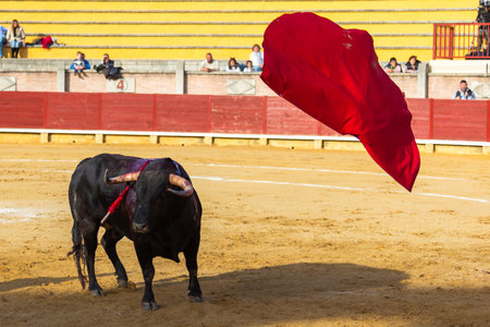 Madrid, Spain- April 9, 2022: Chenel Cup in Miraflores de la Sierra. brave bulls Bullfight.のeditorial素材