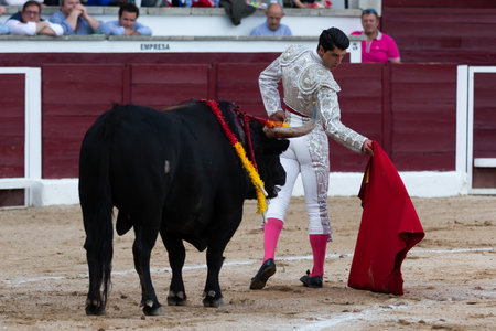 Madrid, Spain- April 30, 2022: Bullfight in San Martin de Valdeiglesias. Bullfighter with a crutch. Fighting bull. Bullfighter giving a muleta pass to the bull in a bullring.のeditorial素材