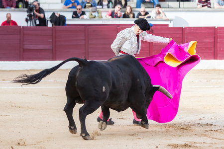 Madrid, Spain- April 30, 2022: Bullfight in San Martin de Valdeiglesias. Bullfighter with cape. Fighting bull. Bullfighter giving a capote pass to the bull in a bullring.のeditorial素材