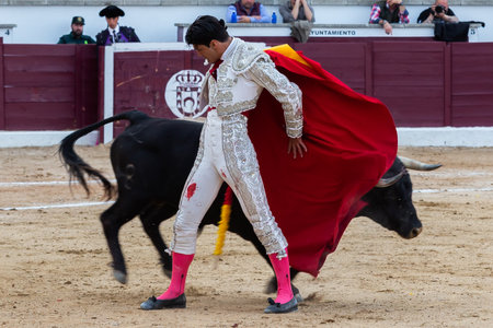 Madrid, Spain- April 30, 2022: Bullfight in San Martin de Valdeiglesias. Bullfighter with a crutch. Fighting bull. Bullfighter giving a muleta pass to the bull in a bullring.のeditorial素材