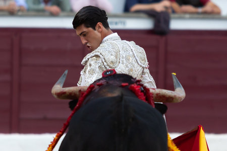 Madrid, Spain- April 30, 2022: Bullfight in San Martin de Valdeiglesias. Bullfighter with a crutch. Fighting bull. Bullfighter giving a muleta pass to the bull in a bullring.のeditorial素材
