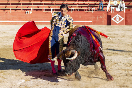 Madrid, Spain- April 30, 2022: Bullfight in San Martin de Valdeiglesias. Bullfighter with a crutch. Fighting bull. Bullfighter giving a muleta pass to the bull in a bullring.のeditorial素材