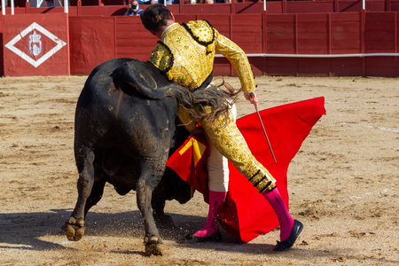 Madrid, Spain- April 30, 2022: Bullfight in San Martin de Valdeiglesias. Bullfighter with a crutch. Fighting bull. Bullfighter giving a muleta pass to the bull in a bullring.のeditorial素材
