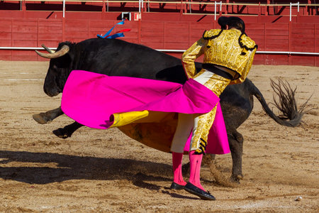 Madrid, Spain- April 30, 2022: Bullfight in San Martin de Valdeiglesias. Bullfighter with cape. Fighting bull. Bullfighter giving a capote pass to the bull in a bullring.のeditorial素材
