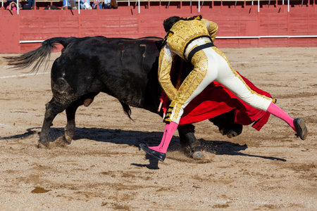 Madrid, Spain- April 30, 2022: Bullfight in San Martin de Valdeiglesias. Bullfighter with a crutch. Fighting bull. Bullfighter giving a muleta pass to the bull in a bullring.のeditorial素材