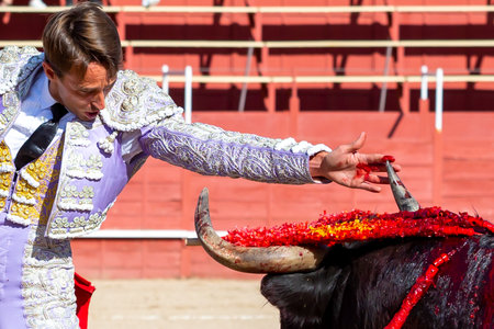 Madrid, Spain- June 19, 2022: Bullfight in the town of Villarejo de SalvanÃ©s. Bullfighter with a crutch in the bullring.のeditorial素材