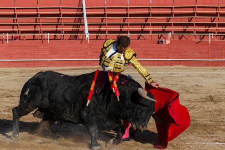 Madrid, Spain- April 30, 2022: Bullfight in San Martin de Valdeiglesias. Bullfighter with a crutch. Fighting bull. Bullfighter giving a muleta pass to the bull in a bullring.のeditorial素材