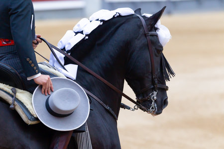 Madrid, Spain- May 14, 2022: Bullfight with the bullfighter on horseback in the Las Ventas bullring.のeditorial素材