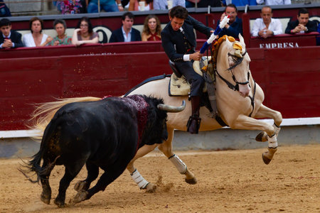 Madrid, Spain- May 14, 2022: Bullfight with the bullfighter on horseback in the Las Ventas bullring.のeditorial素材