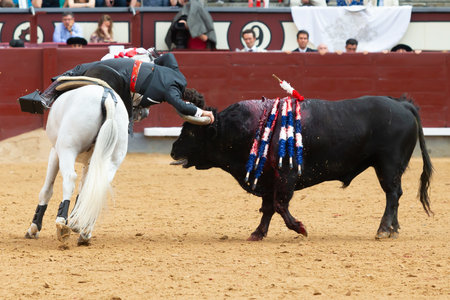 Madrid, Spain- May 14, 2022: Bullfight with the bullfighter on horseback in the Las Ventas bullring.のeditorial素材