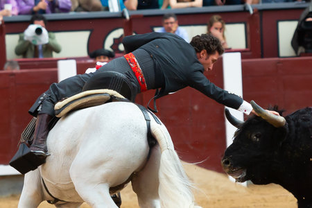 Madrid, Spain- May 14, 2022: Bullfight with the bullfighter on horseback in the Las Ventas bullring.のeditorial素材