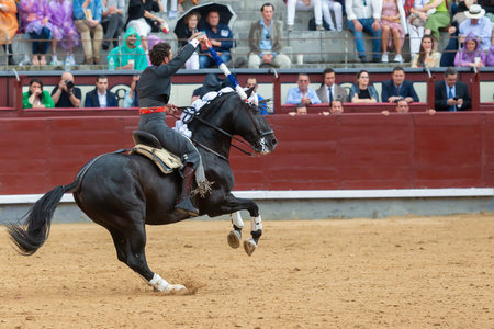 Madrid, Spain- May 14, 2022: Bullfight with the bullfighter on horseback in the Las Ventas bullring.のeditorial素材