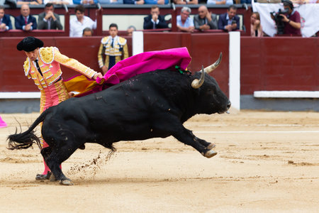 Madrid, Spain- June 2, 2022: Juan Leal with capote during the bullfight held at the Las Ventas bullring in Madrid. bullfights Bullfighter with a crutch.のeditorial素材