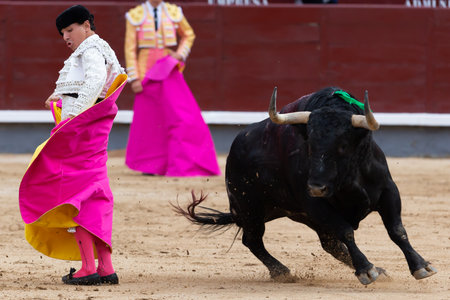 Madrid, Spain- June 19, 2022: Bullfight in the town of Villarejo de SalvanÃ©s. Bullfighter with capote in the bullring.のeditorial素材