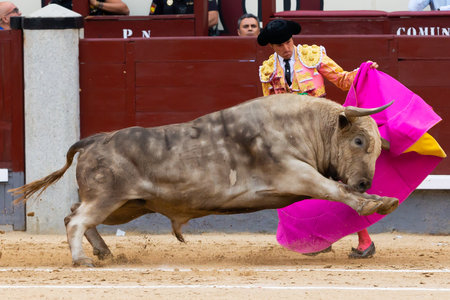 Madrid, Spain- June 2, 2022: Juan Leal with capote during the bullfight held at the Las Ventas bullring in Madrid. bullfights Bullfighter with a crutch.のeditorial素材