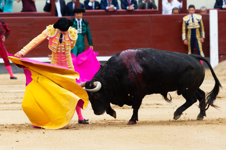 Madrid, Spain- June 2, 2022: Juan Leal with capote during the bullfight held at the Las Ventas bullring in Madrid. bullfights Bullfighter with a crutch.のeditorial素材