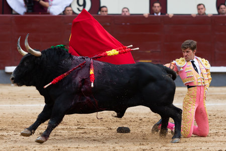Madrid, Spain- June 2, 2022: Juan Leal with a crutch during the bullfight held at the Las Ventas bullring in Madrid. bullfights Bullfighter with a crutch.のeditorial素材