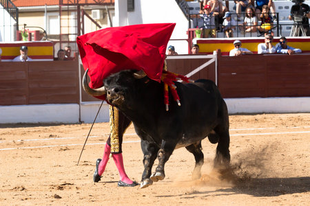 Madrid, Spain- June 19, 2022: Bullfight in the town of Villarejo de SalvanÃ©s. Bullfighter with a crutch in the bullring.のeditorial素材
