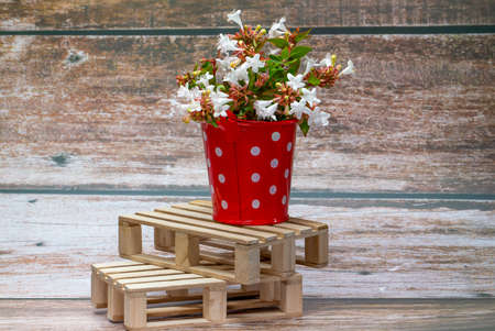Pink flowers inside a red metal bucket with white polka dots on a wooden pallet. wild-flowers Home decor.の写真素材