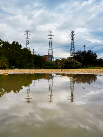 Puddles of water in a park after the autumn rains. Storms over Madrid. Reflections of the vegetation...