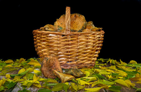 Wicker basket with chanterelles on a wooden table covered with leaves. Mountain foods. Edible mushrooms. Autumn products. Basket with seasonal mushrooms.の写真素材