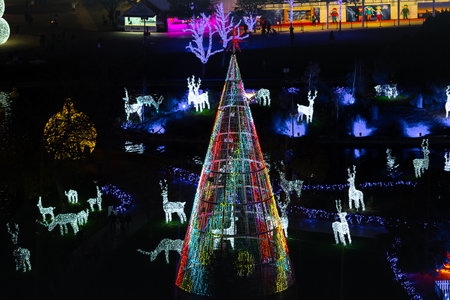 Aerial view of the Christmas decoration. City decorated with Christmas lights. Giant Christmas tree.の写真素材