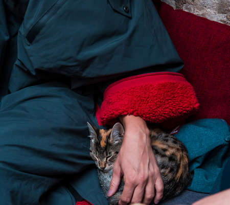 A woman in a warm coat caught a small kitten who is sleepingの写真素材