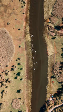 A group of tourists on SUP stand up paddle boards in Rijeka Crnojevica river in Skadar Lake National Park Montenegroの写真素材