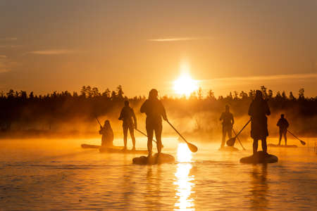 Silhouette of group of people doing SUP stand up paddle boarding at sunrise in lake. Early summer morning activityの写真素材