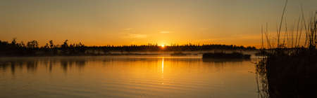 Sunrise panoramic view of the swamp in the early summer morningの写真素材
