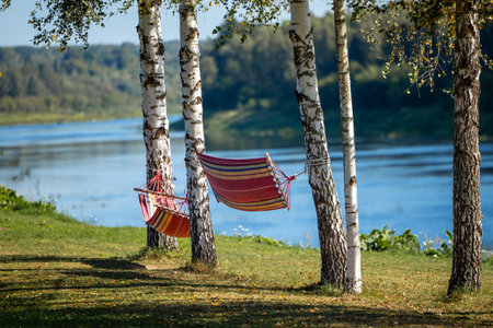 Two vibrant hammocks are tied between birch trees on a grassy riverbank. The river winds through a lush forest under a clear blue sky, creating a tranquil scene.の写真素材