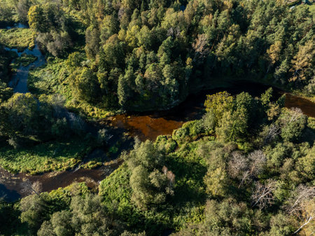An aerial perspective captures a winding river cutting through dense greenery, with the river's dark surface contrasting against vibrant trees and vegetation.の写真素材