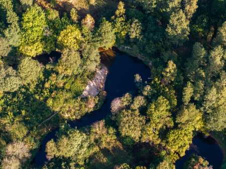 An aerial perspective captures a dense forest with a winding river. Sunlight filters through the canopy, contrasting with the dark blue water below.の写真素材